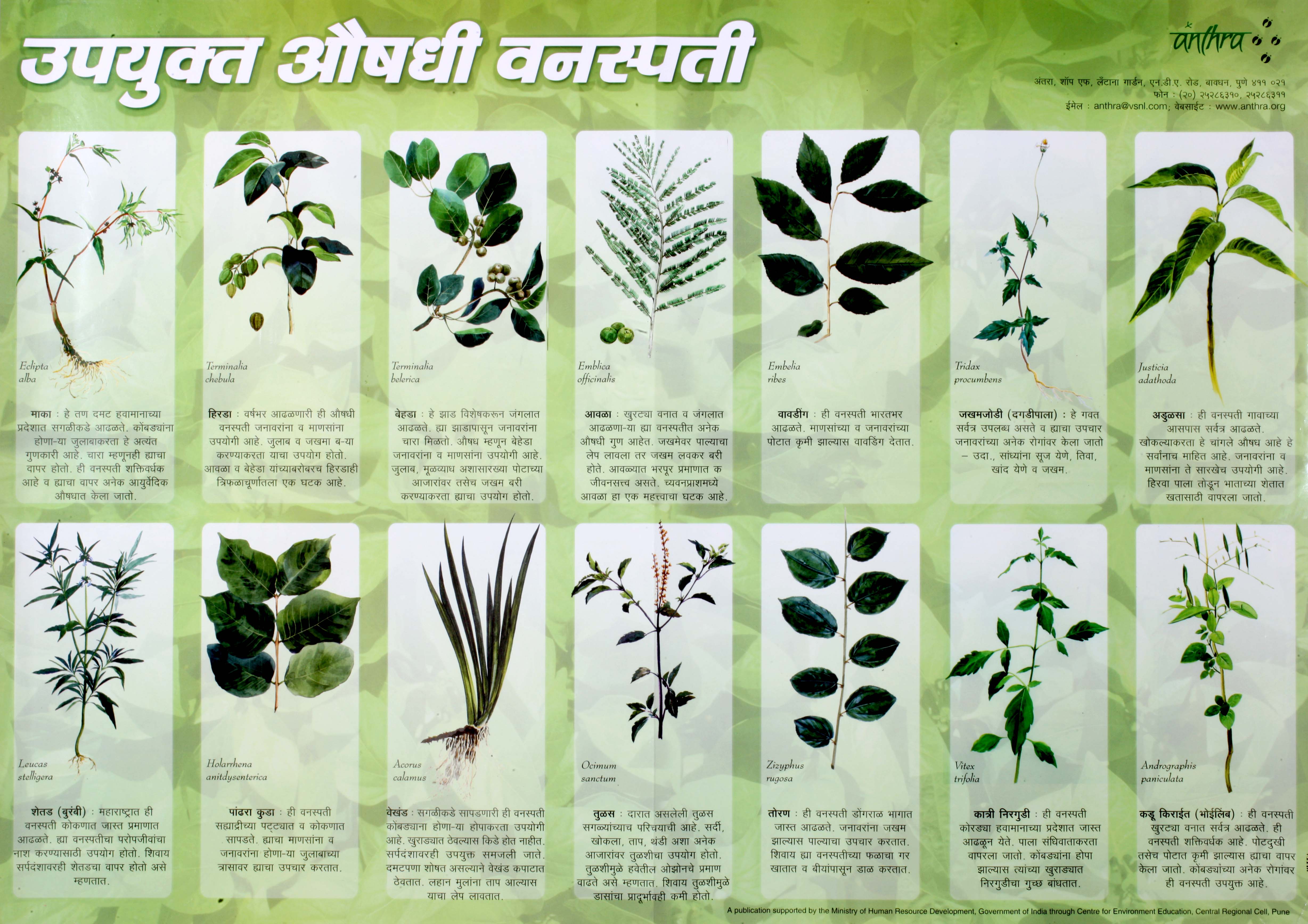 Upyukta Aushadi Va chara Vanaspati (Useful Medicinal and Fodder Plants) -  Anthra livestock development & ethnoveterinary group